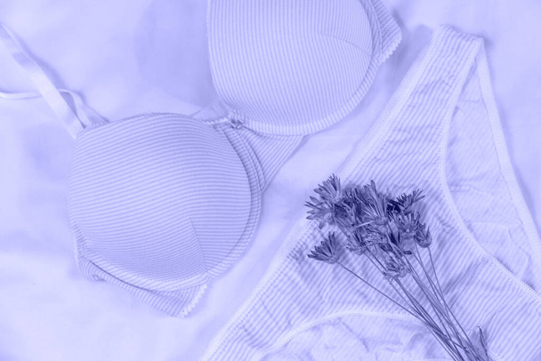 Roupa interior sexy das mulheres e flores na cama. Muito peri sutiã violeta, lingerie rendas em um fundo branco. Conceito de blog de beleza. Vista superior, flat lay - Foto, Imagem