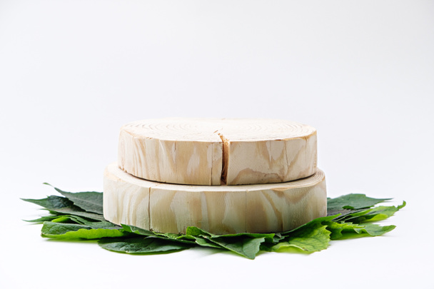 two round wooden podium on green leaves on white background, sawn cut - Photo, Image