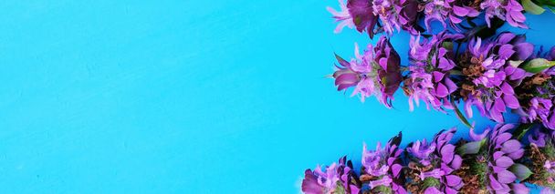 Violetti kukkia sininen vaakasuora banneri tausta. - Valokuva, kuva