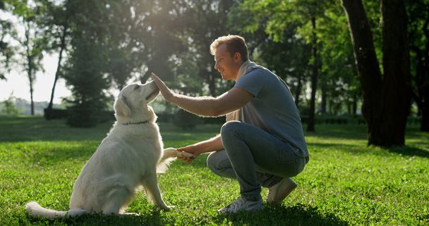 Happy smart golden retriever give paw to handsome owner. Pet lick hand lie down - Photo, Image