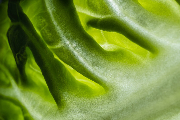 Green leaf, texture or background. Macro. - Foto, imagen
