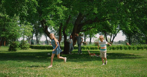 緑の芝生の上で男の子の周りを走っているアクティブな女の子。遊び心のある子供たちはピクニックで楽しい. - 写真・画像