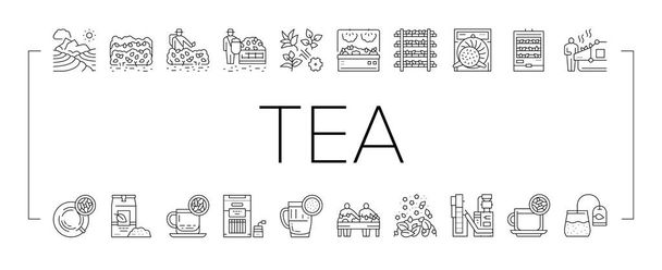 Produkcja herbaty Picie Kolekcja ikon zestaw wektor . - Wektor, obraz