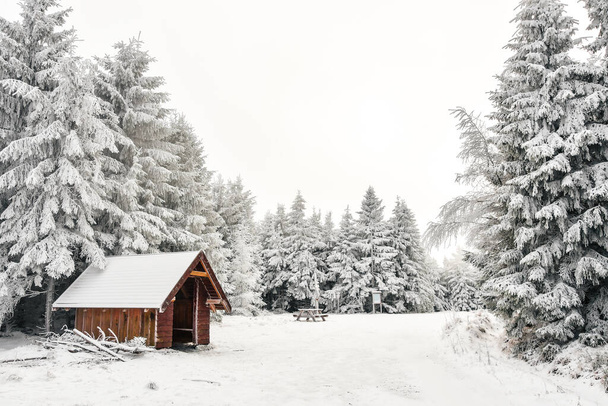 Sudetes 'in Polonya dağlarındaki kış manzarası, dağlık bir patikada karla kaplı bir turist barınağı, bulutlu, sisli bir günde dinlenmek için bir yer.. - Fotoğraf, Görsel