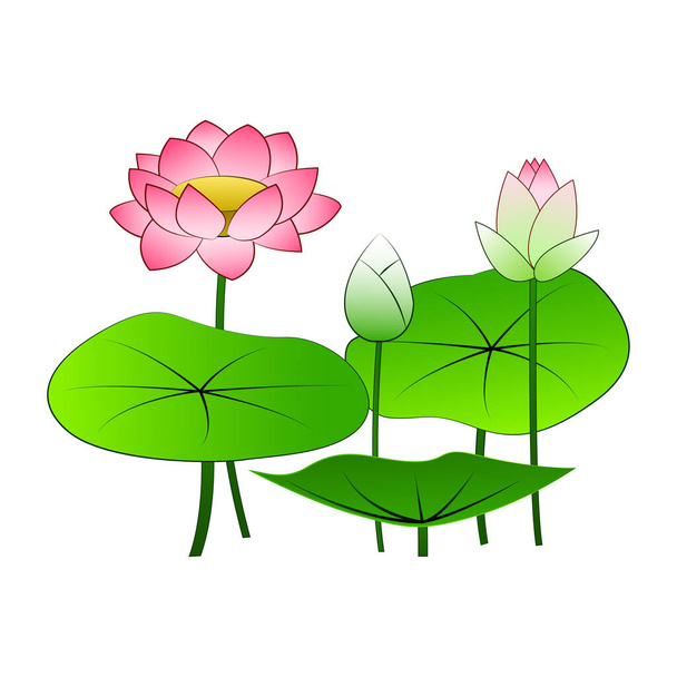 clip art of lotus with cartoon design - Vettoriali, immagini