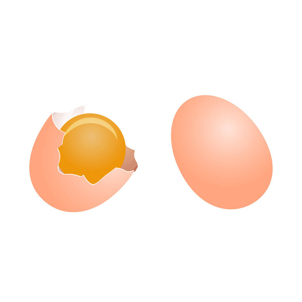 кліп-арт яєць з мультиплікаційним дизайном
 - Вектор, зображення