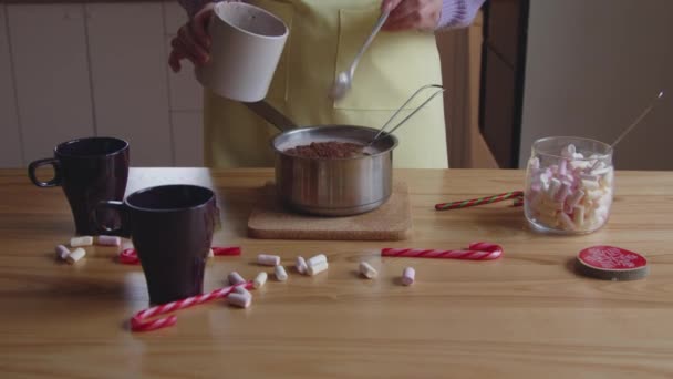Cooking Hot Cocoa Drink at Home - Footage, Video