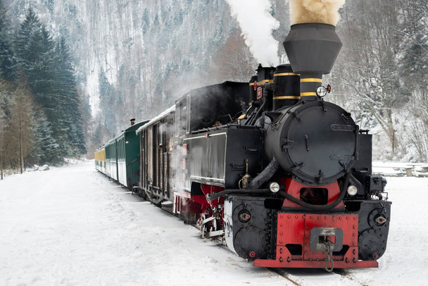 Вид на подбитый паровой поезд Моканита на железнодорожной станции зимой, снег, Румыния - Фото, изображение