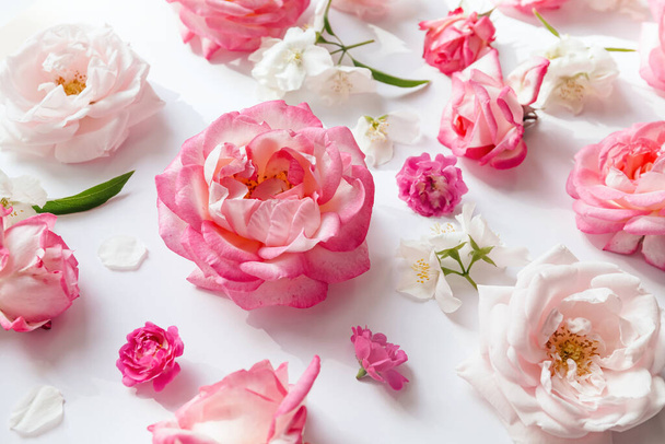 Nyári virág minta készült gyönyörű rózsaszín rózsa bimbók fehér alapon. Természet koncepció. Minimális stílus. Első látásra. Lapos fektetés - Fotó, kép