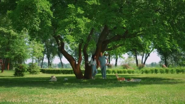 Χαλαρωμένο ζευγάρι στέκεται στη σκιά του δέντρου πάρκο. Ειρηνική οικογενειακή ανάπαυση για πικνίκ. - Πλάνα, βίντεο