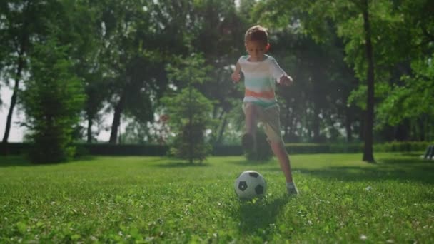 Jonge jongen maken voetbal oefening op gras in het park. Kind voetballen buiten. - Video
