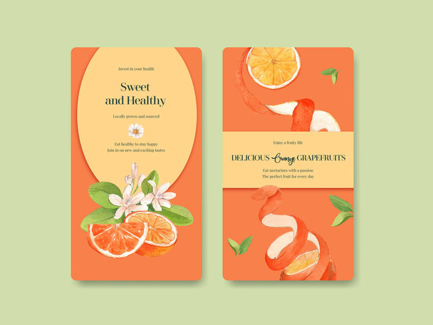 Шаблон Instagram с концепцией апельсинового грейпфрута, watercolo - Вектор,изображение