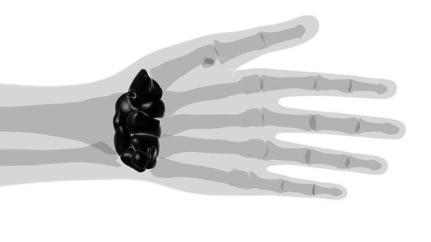 Menschliches Skelett Handgelenk Teppiche Knochenanatomie für medizinisches Konzept 3D Illustration - Foto, Bild