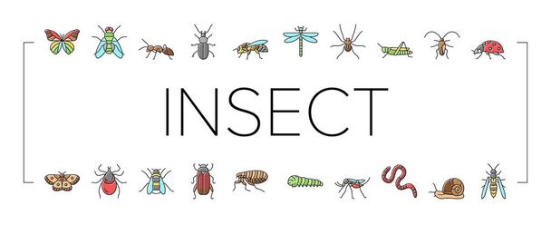 Insekten-, Spinnen- und Käfersymbole setzen Vektor . - Vektor, Bild