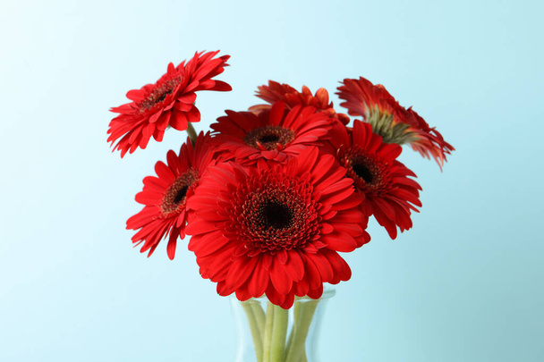 Bouquet of beautiful red gerbera flowers on light blue background - Zdjęcie, obraz