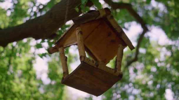 Mangeoire à oiseaux suspendue à l'arbre à la lumière du soleil fermer. Mignon Birdhause situé dans le parc - Séquence, vidéo