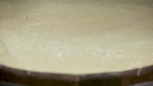 Handmade process production mozzarella cheese making manually cheese factory dairy food traditional mozzarella craft making local food manufacturing. Local traditional production cheese dairy produce - Footage, Video