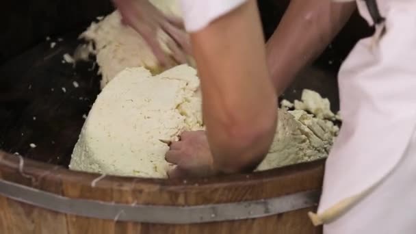 Handgefertigte Prozess-Produktion Mozzarella-Käse Herstellung manuell Käsefabrik Milchprodukte traditionelle Mozzarella Handwerk Herstellung lokaler Lebensmittel. Traditionelle Käsereiprodukte aus lokaler Produktion - Filmmaterial, Video