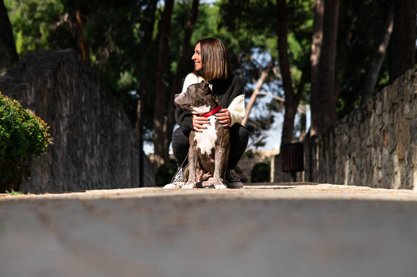 Young girl with her dog in the park in the summertime - Photo, Image