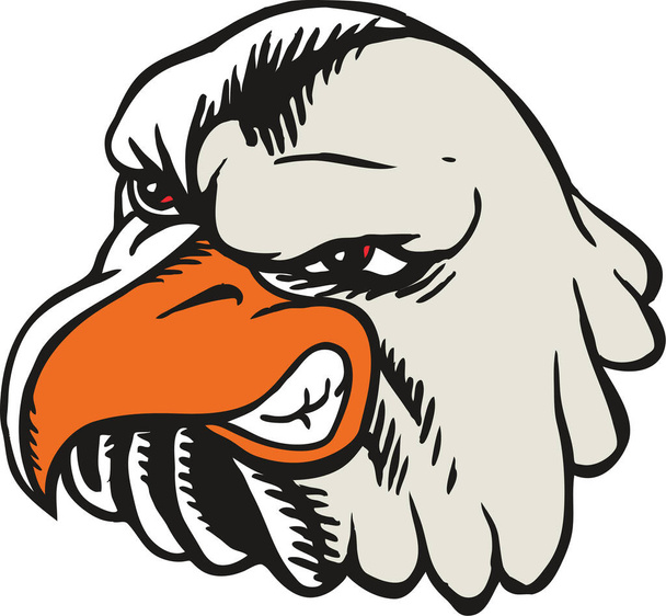 Eagle Mascot Head Tough Vector Illustration - Vector, Image