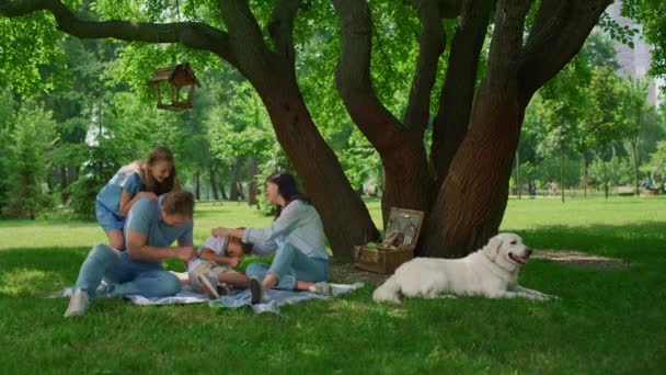 Gülen ailenin piknik battaniyesinde komik bir oyunu var. Mutlu insanlar dışarıda dinleniyor.. - Video, Çekim