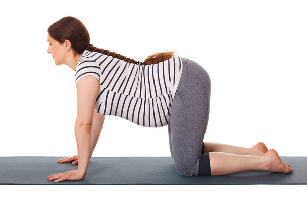 Zwangere vrouw doet yoga asana koe pose Bitilasana - Foto, afbeelding