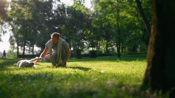Hombre relajado acariciando a Golden Retriever. Juguetón perro masticar correa acostado en la hierba - Imágenes, Vídeo