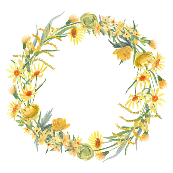 Υδατογραφία χέρι ζωγραφισμένα λουλούδια στρογγυλό πλαίσιο με διαφορετικό είδος του κίτρινου άγρια λουλούδια απομονώνονται σε λευκό. Όμορφο στεφάνι λιβαδιού. Μεγάλη πρότυπο για το σχεδιασμό ευχετήριες κάρτες, προσκλήσεις.  - Φωτογραφία, εικόνα
