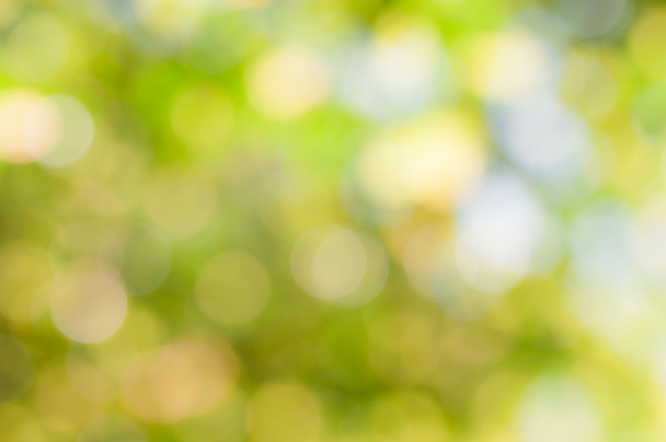 defocused abstract green background - Photo, Image
