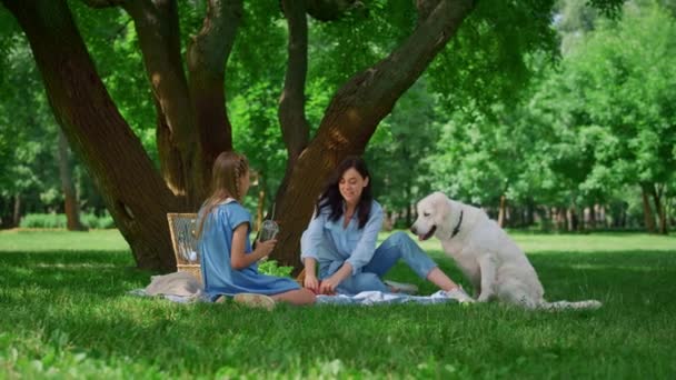 Fröhliche Mutter füttert Labrador beim Picknick. Mutter sitzt mit Tochter auf Decke - Filmmaterial, Video