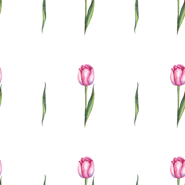 Watercolor tulips. Seamless pattern. Hand-painted - 写真・画像