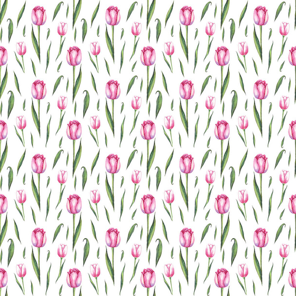 Watercolor tulips. Seamless pattern. Hand-painted - Zdjęcie, obraz