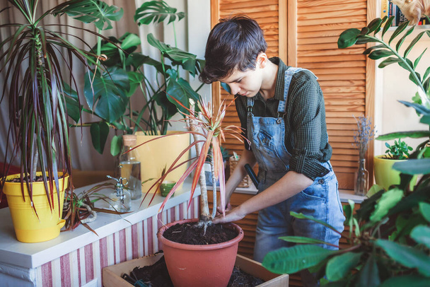 Glückliches junges Mädchen, das die heimischen Pflanzen auf dem Balkon umtopft, grüne Umgebung im Zimmer, Hausgartenarbeit - Foto, Bild