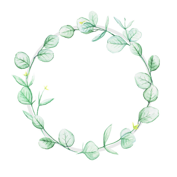 Round frame of eucalyptus twigs painted in watercolor. Watercolor drawing of plants, isolated on white background, copy space. Simple floral wreath. - Fotografie, Obrázek