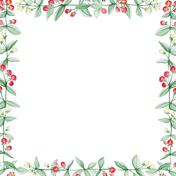 Čtvercové pozadí s prameny rostliny - Hupericum, malováno akvarelem. Větve rostliny v podobě čtvercového rámu izolovaného na bílém pozadí, prostor pro text. Jednoduché květinové pozadí. - Fotografie, Obrázek