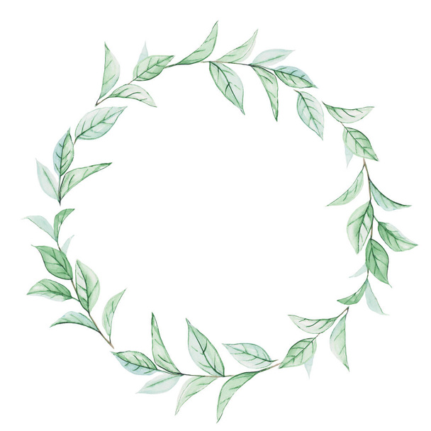 Rundrahmen aus Zweigen der Ruscus-Pflanze, in Aquarell gemalt. Aquarell-Zeichnung von Pflanzen, isoliert auf weißem Hintergrund, Kopierraum. Einfacher Blumenkranz.  - Foto, Bild