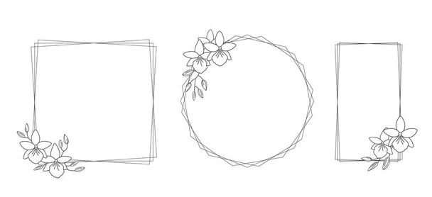 白い背景に蘭の花(Vuylstekeara)のフレーム、線形の描画。あなたのデザインのためのシンプルなエレガントなフレームカード、挨拶、招待状など。ベクターラインアートイラスト. - ベクター画像