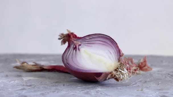 Puolet tuoretta tropea punasipulia kääntymässä valkoiselle pöydälle lähikuva, käsite ruoanlaitto kotona keittiössä, Perinteinen italialainen serkku ainesosa - Materiaali, video