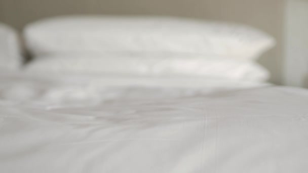 Hotelservice bringt Handtücher ins Schlafzimmer - Filmmaterial, Video