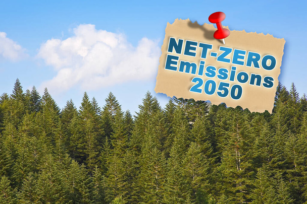 European Union sets new climate law: net-zero emissions are now a target for 2050 - Carbon Neutrality concept against a woodland background  - Φωτογραφία, εικόνα
