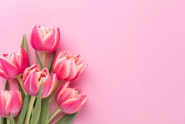 Pink tulip flower on pastel table background with copy space for text. Love, International Women day, Mother day and Happy Valentine day concept. - Valokuva, kuva