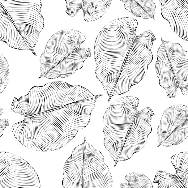     Vector illustration. Seamless pattern. Luxurious white floral print on a black background. Floral pattern, white leaf of philodendron, violets with lines. - Vector, Image