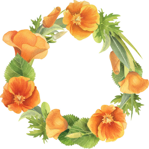 Spring floral round wreath with orange flowers, green plants, plants and herbs. For the most spring and delicate designs. Suitable for cards, invitations, congratulations, greetings, packaging, labels - Fotografie, Obrázek