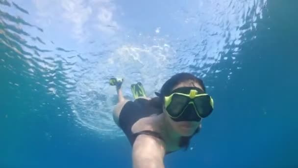 mujer bajo el agua en traje de baño buceo - Imágenes, Vídeo