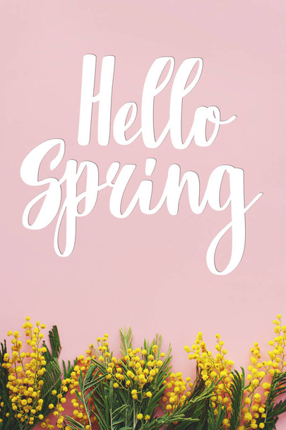Hello Spring text on mimosa flowers flat lay on pink background. Stylish greeting card. Handwritten lettering hello spring. Springtime - Foto, afbeelding