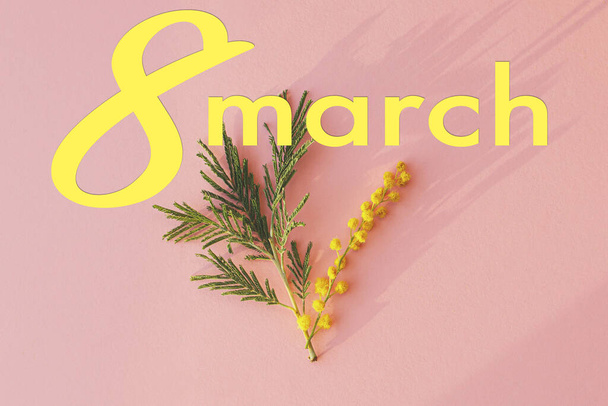 8 marzo. Il testo di giorno di donne felice su piatto di fiore mimosa rimane su sfondo rosa in luce del sole. Elegante biglietto di auguri. Giornata internazionale della donna. Lettere manoscritte - Foto, immagini