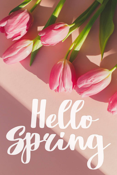 Hello Spring text on pink tulips in sunlight flat lay on pink background. Stylish greeting card. Handwritten lettering hello spring. Springtime - Photo, Image
