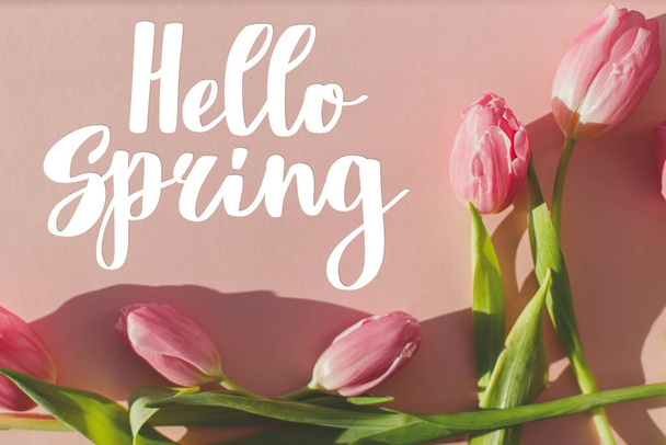 Hello Spring text on pink tulips in sunlight flat lay on pink background. Stylish greeting card. Handwritten lettering hello spring. Springtime - Foto, afbeelding