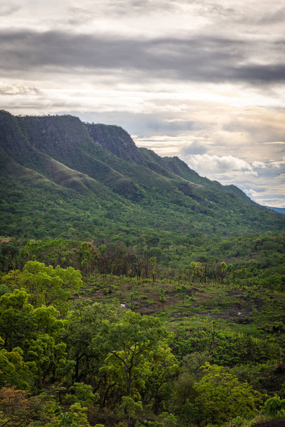 cerrado landscape in Chapada dos Veadeiros,  Brazil - Fotografie, Obrázek