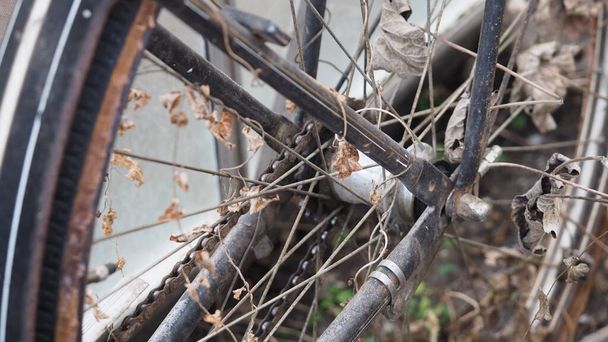 old rusty bicycle in the park - Фото, зображення